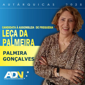 Candidato à Assembleia de Freguesia de Leça da Palmeira